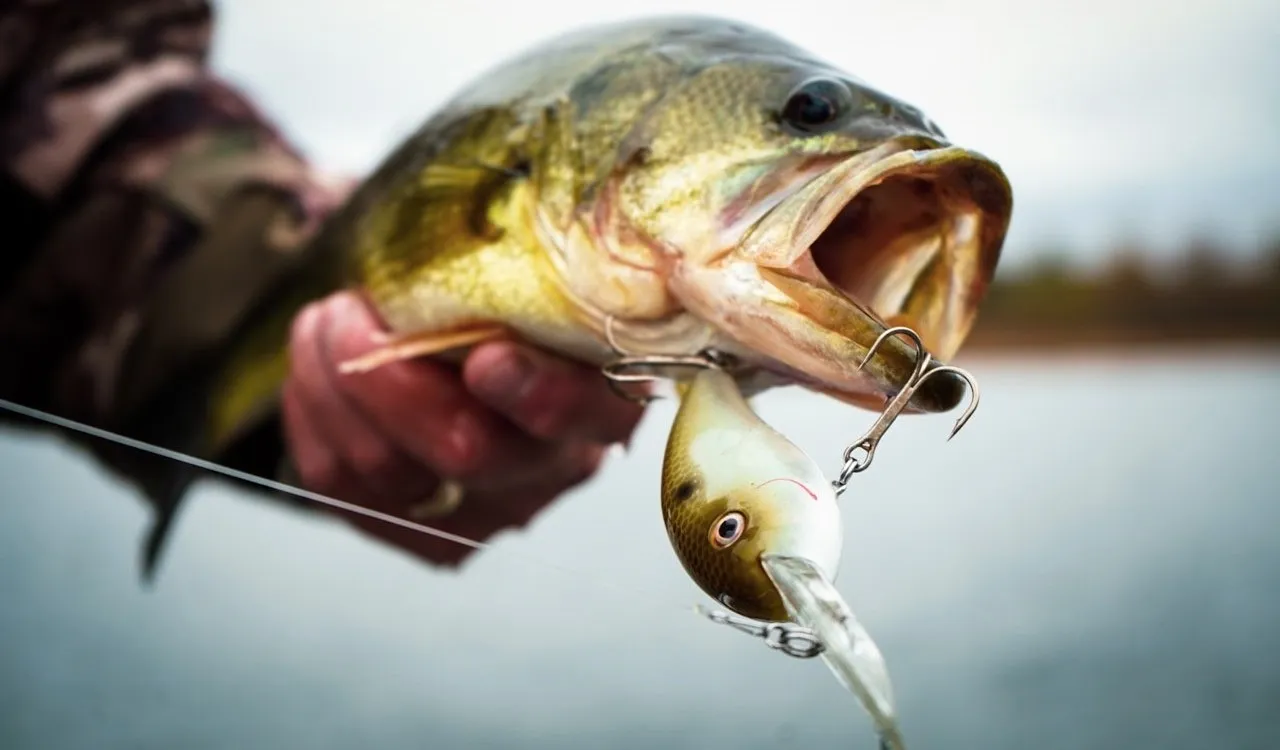 avet 50w reel T-RX Quad Series 2-Speed Lever Drag Big Game Reels – White Water Outfitters Baitcaster Combo Abu Garcia Trolling Combo gear that is the Color:Oil Slick